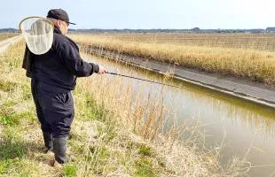 千葉県・茨城県、日本水郷へ春のマブナの探り釣り!早くも巣離れ!?