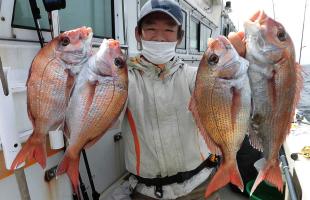 千葉県・飯岡沖のマダイ、“乗っ込み”間近で絶好調！！