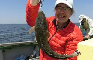 初夏を告げる東京湾のマゴチ釣り、絶好のスタート！