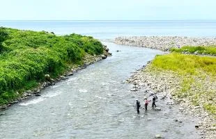 新潟県糸魚川市・早川 日本海の潮風香る川で“海産アユ”を釣る！