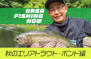 秋のエリアトラウトはトップウォーター＆水面直下が熱い！