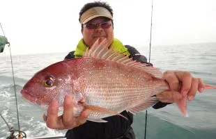 明石のブランド魚“サクラダイ”をタイラバで狙う！
