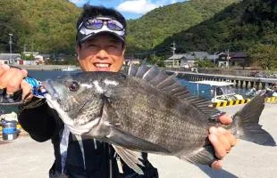 大分県南部佐伯市、大入島で夢の60cmオーバーのチヌを狙う！