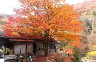 群馬県沼田市の『イワナセンター』で激レア・トラウトを狙う！