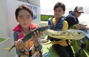 夏休み！湘南・平塚沖のライトルアーが熱い！