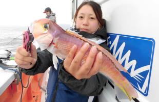 駿河湾・田子の浦沖のアマダイ、今年も絶好調！！