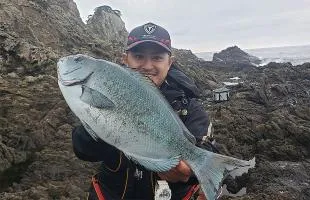 鹿児島県・佐多岬灯台周辺で夢の60cm級オナガグレを目指す！