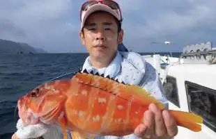 駿河湾・沼津沖の浅場で“根魚五目”を狙う！