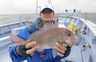 千葉県・大原沖、秋の数釣り！ひとつテンヤのマダイ