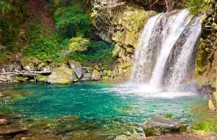 静岡県・伊豆半島の渓流。河津川の七つの滝を巡ってルアーでアマゴを釣る！