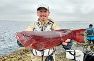 静岡県・西伊豆・雲見。海水温低下と“菜っ葉潮”の中でマダイ、イサキを狙った結果！？