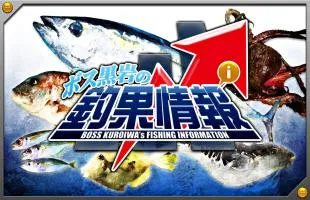 ボス黒岩からの釣果情報（2023年6月12日）