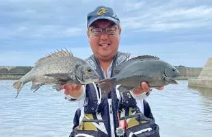 【佐渡島の釣り】3泊4日の磯釣りパラダイス！《クロダイ＆メジナ快釣》