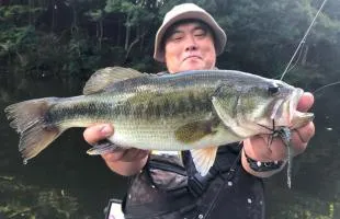 【バス釣り教室】居場所編：バスはどこにいるのか？　様々な「変化」に身を寄せている！