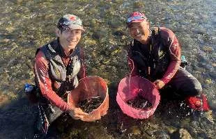 【どこを見てもアユ、アユ、アユ】とりあえず「凄い釣れます！」