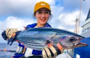 【絶品！】美女がカツオを釣り「カツオの巻き寿司」を作るまで