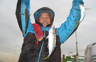 寒さ吹き飛ぶ入れ食い。東京湾・久里浜沖のアジ絶好調!