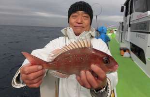 千葉県・内房で新年を彩るマダイと高級魚狙い！