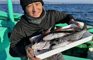 【美味しいは正義】！ムツ＆イカリレー、激推し！千葉県江見太夫崎港『渡辺丸』