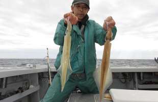 駿河湾・石花海にパラソル級のヤリイカを追う！