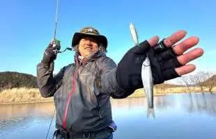 【琵琶湖の高級魚】釣ってよし、食べてよし、ホンモロコ釣りに入門してみた！