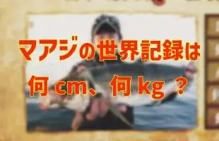 マアジの世界記録って何cm、何kg？