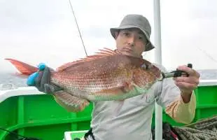 【ひとつテンヤ】日立沖のマダイ好調！大型も浮上し秋のシーズンに期待大！茨城県日立久慈港『弘漁丸』