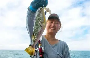 【カットウ釣り】大原太東沖のショウサイフグが絶好調！トラフグも浮上！千葉県大原港『敷嶋丸』