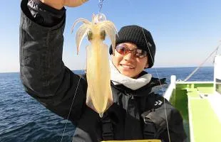 神奈川県・相模湾のマルイカ開幕！“好漁年”の予感！