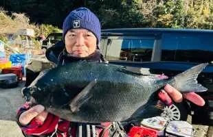 シーズン到来！爆風の須崎で良型メジナを狙う！ 