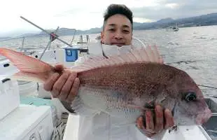 駿河湾・沼津沖、乗っ込みマダイは開幕目前！