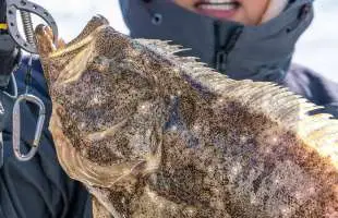 狙える魚種は無限大！和歌山沖のひとつテンヤ五目に注目！大阪府北中通漁港『上丸』