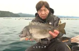 【女性釣り師がハマる】かかり釣りのチヌ攻略について