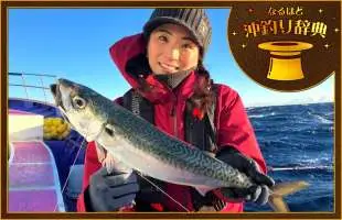 【なるほど 沖釣り辞典】期間限定のブランド魚を狙う！千葉県勝浦沖の“寒サバ”