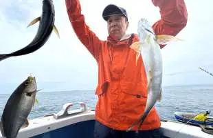 <南房・洲崎のイサキ>浅場で良型!クーラー満タン!千葉県洲崎港『佐衛美丸』