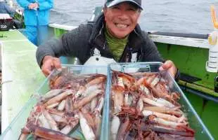 【ムギイカ・マルイカ】初夏の〝風物詩〟ムギイカ最盛期！トップ100杯超‼神奈川県葉山あぶずり港『たいぞう丸』