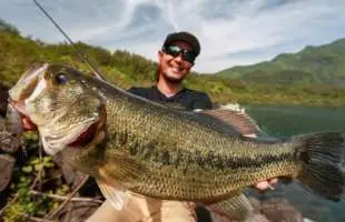 【27分の無料動画あり】若かりし金森隆志が初夏の河口湖・溶岩帯でバスを釣る法則を解説
