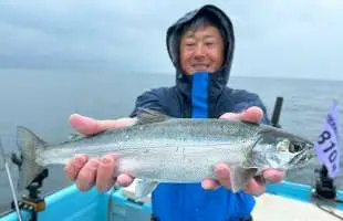 ＜検証＞ビワマスが減ったというのは果たして本当か？【琵琶湖】