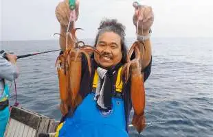 長井沖のスルメイカ絶好調！美味しいイカを大漁ゲット！神奈川県長井港『儀兵衛丸』
