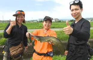 水面炸裂!!一度はまれば抜け出せない、超!エキサイティングなナマズゲーム!