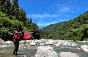 【岐阜県高原川】会いたい鮎が目的地！美しく健やかなる高原鮎は金色に輝いていた！