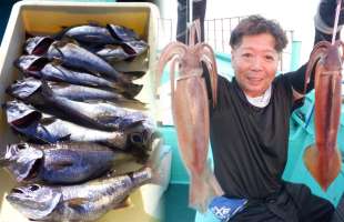 【高級魚リレー釣り】南房総のクロムツ&スルメイカ!数型、味も良し!!千葉県江見太夫崎港『渡辺丸』