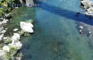 四万十川の大自然をまるかじり！美しく美味しい鮎と遊ぶ夏！