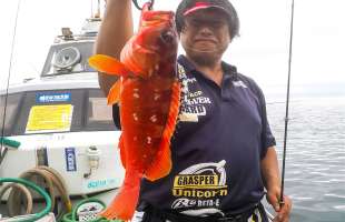 【ボトムワインド】でアカハタを攻略！神奈川県 真鶴岩港『緑龍丸』