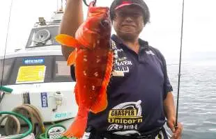 【ボトムワインド】でアカハタを攻略！神奈川県 真鶴岩港『緑龍丸』