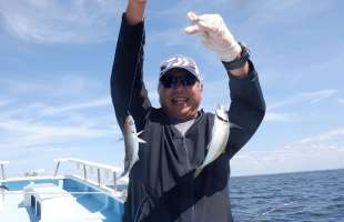 東京湾の“LTアジ”絶好調！取材日も束釣り（100匹以上）！！東京都平和島『船宿 まる八』