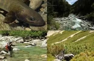 北アルプス山小屋スタッフの黒部源流釣行