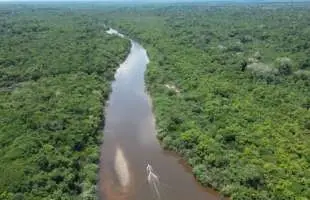 夢のフィールド！未開のアマゾン上流域で魅惑のゲームフィッシング！