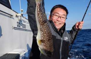 【数型とも好調！】千葉県外房・大原のショウサイフグ、大型活発！初心者もOK！！千葉県大原港『敷嶋丸』