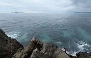 山口県萩市の鯖島1番で秋磯満喫！イサキ＆グレを狙う渡船釣行をレポート